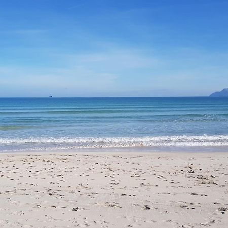 Ideal Property Mallorca - Cittadini 37 อัลกูเดีย ภายนอก รูปภาพ