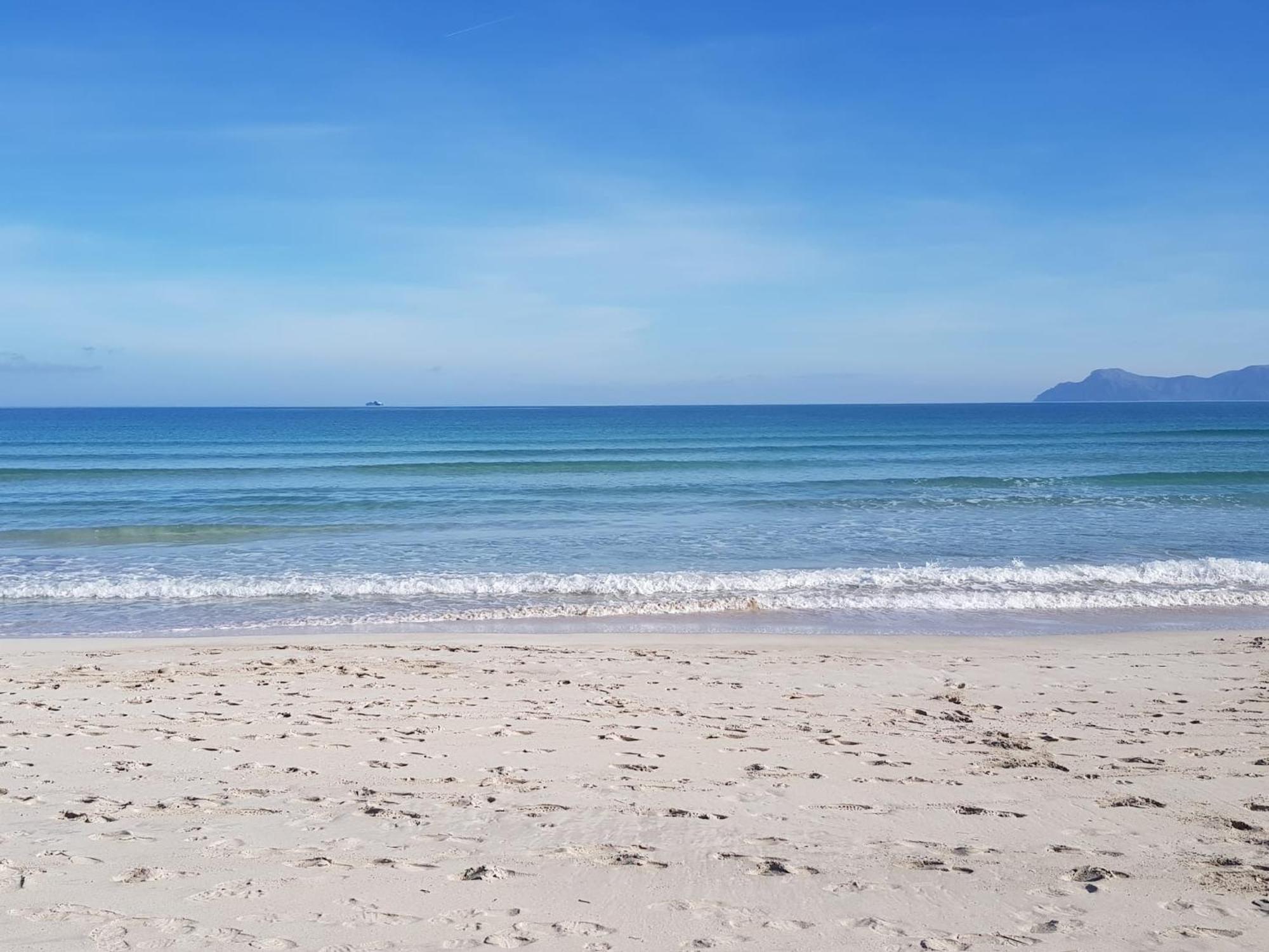 Ideal Property Mallorca - Cittadini 37 อัลกูเดีย ภายนอก รูปภาพ